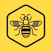 Bee network map 